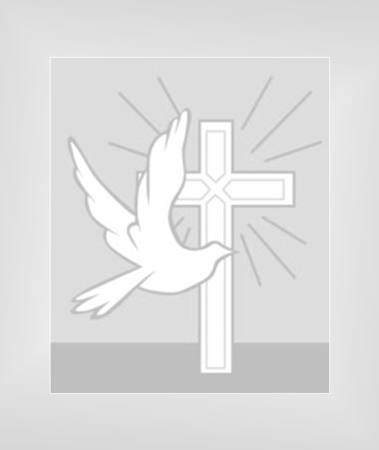 Fr. Sebstian Valiyaveettil